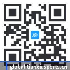 系统版 iOS 二维码